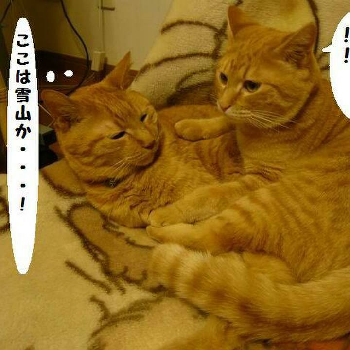 Aabdfc1c 3060 44a0 b351 3d1ac37468ab