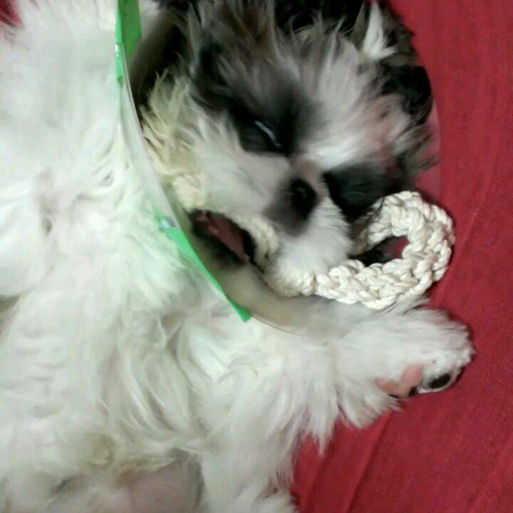 Aabe23b7 3416 47c4 afac b513126cf439