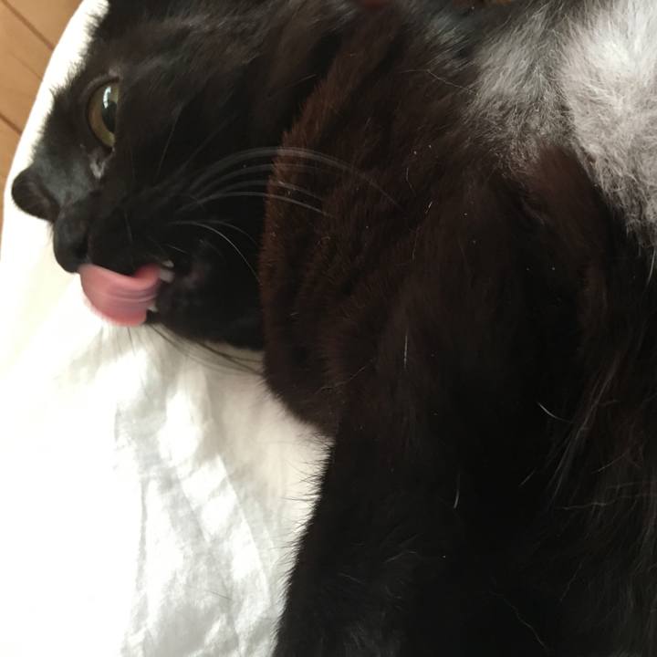 Aabe325d b922 487d 932e c5a9d70d7511