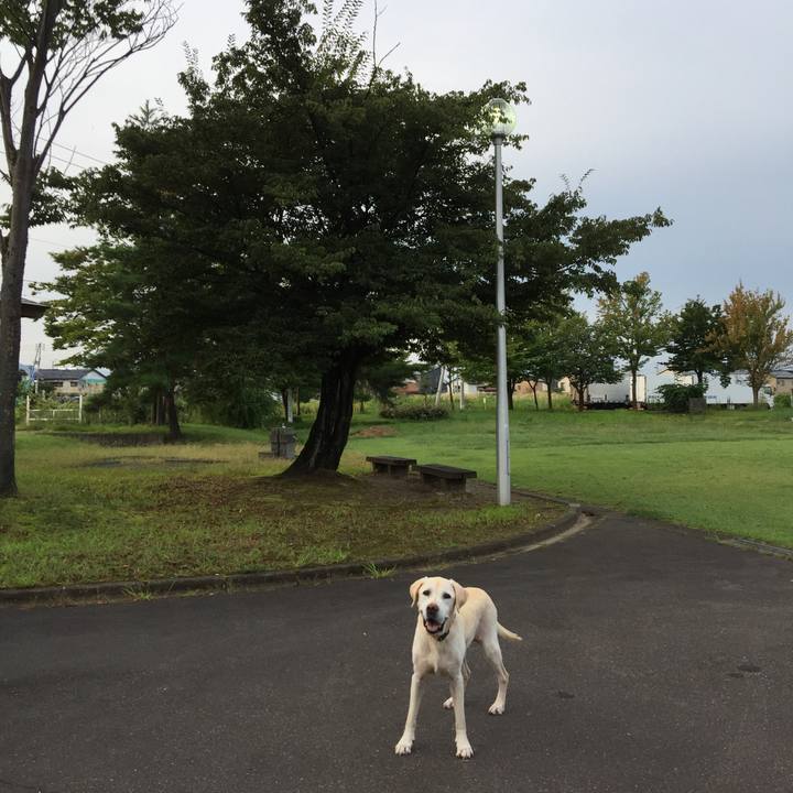 Aabe3594 a3bc 453f 9664 c139c7feabee