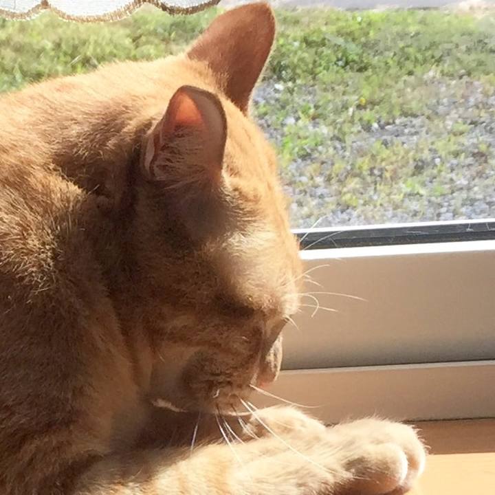 Aabee414 f2f0 4a8c 8f79 458a43f02617