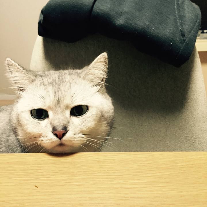 Aabf865c 8b2d 4e18 9cbb aba161c6c986