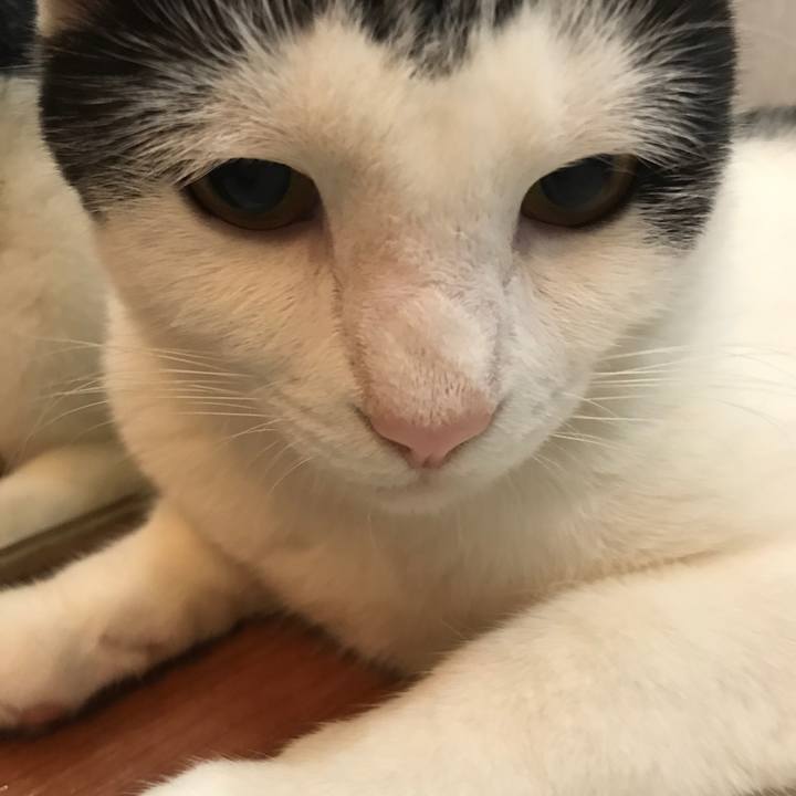 Aabfef45 856a 4870 bf64 0e2e7edaf614