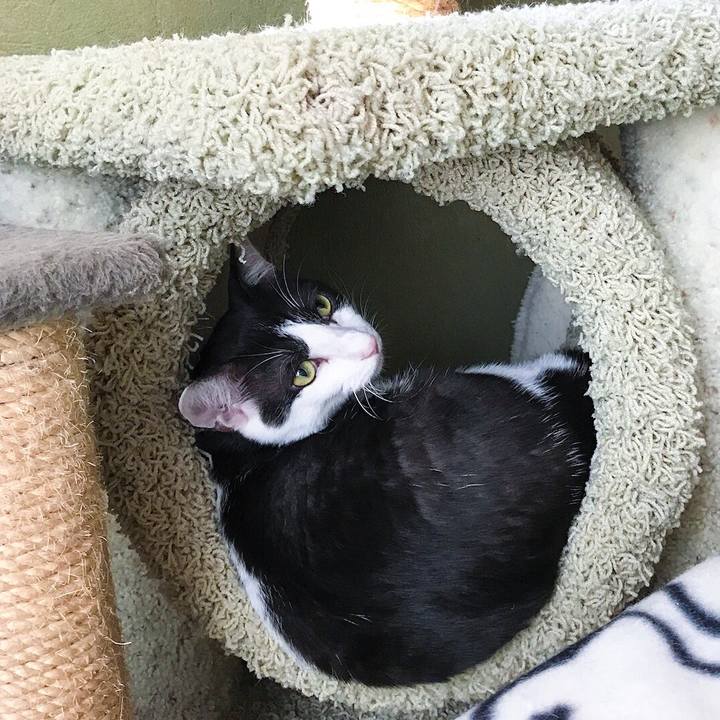 Aac1bc11 1c41 47bf b2b8 684577393741