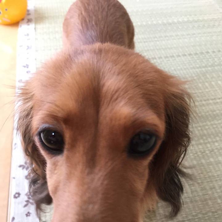 Aac1c23f a3a7 45a6 8a59 44aa309ef396