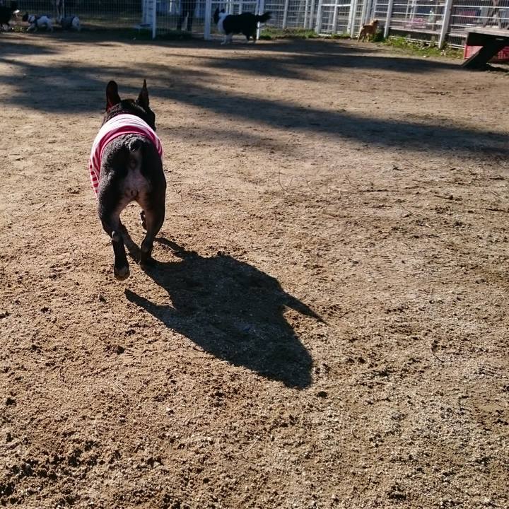 Aac207c2 4ef0 4961 9970 7bb2606eb80c