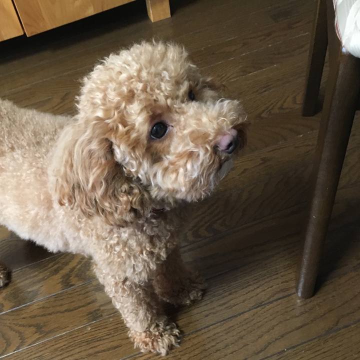 Aac20c50 316e 4805 b0c6 099de35f1345