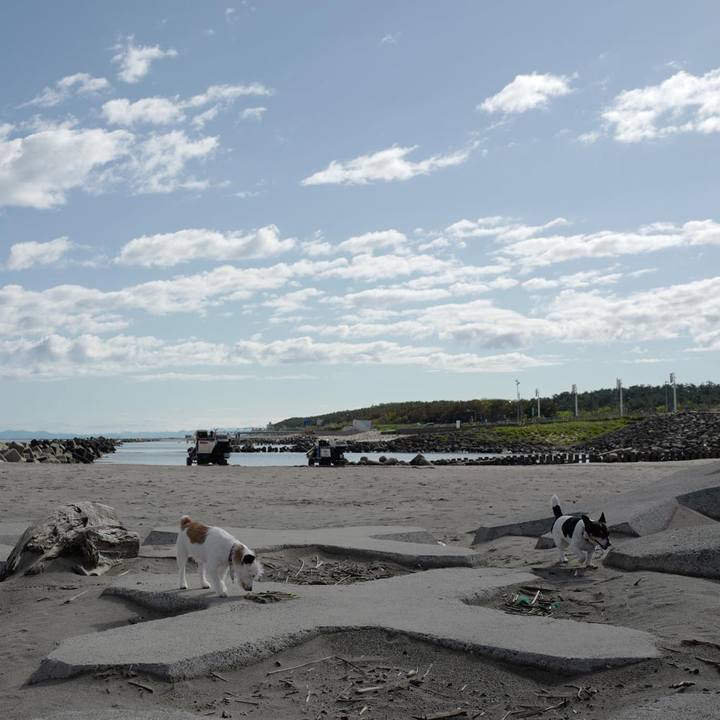 Aac2e1ac 7b64 4ca7 8953 aea2a795163f