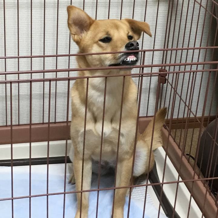 Aac2e7a8 09db 4e1c 8515 3f35c7a5fa7b