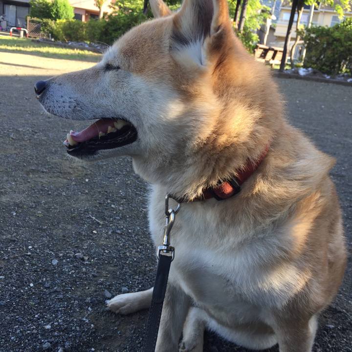 Aac358d7 de3a 4a65 8941 d1c57a7b5383