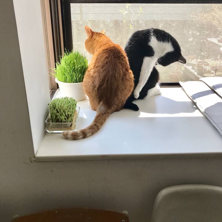 Aac3610f ebab 4cf3 8105 cb9441a5399f