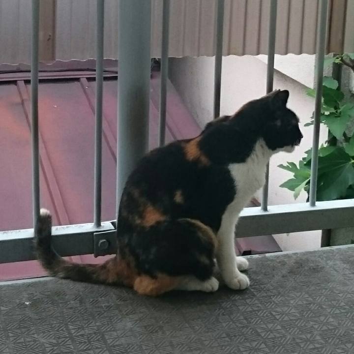 Aac3dbbe 169c 4bac 94b4 e5d29fddacbb