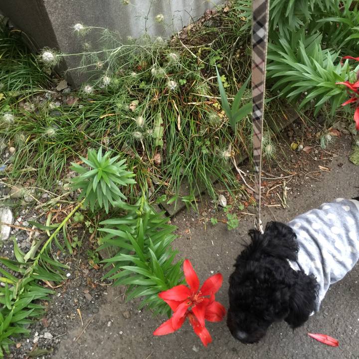 Aac3e811 9f06 4fd1 968b 10ea387253b2