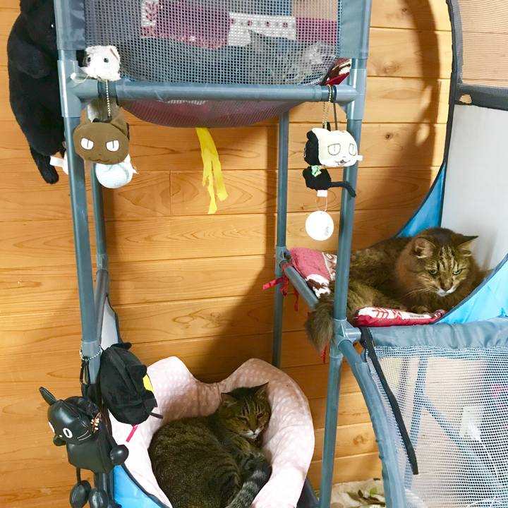 Aac42634 5d79 4f73 a3cd d29716cbb8e9