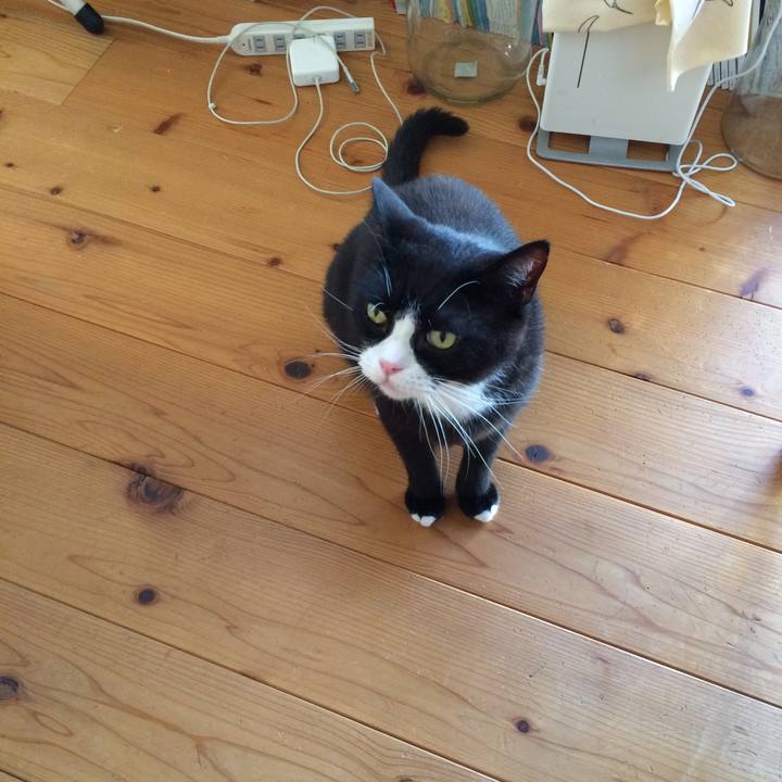 Aac45aef e30e 4676 8ac3 a04e47705f0c