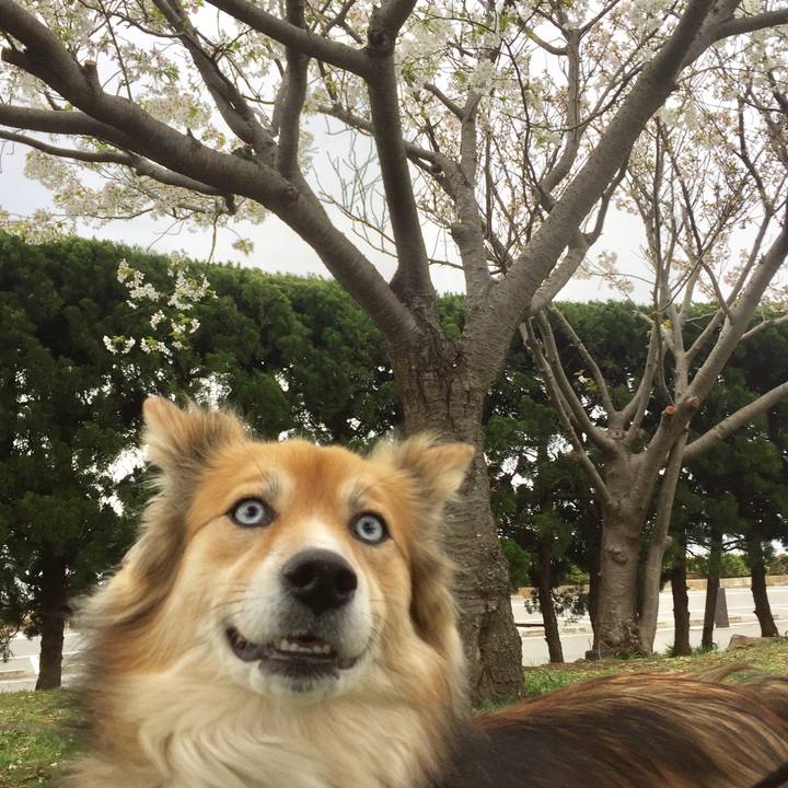 Aac47666 689d 4dbd 96e8 d3c8831b188c