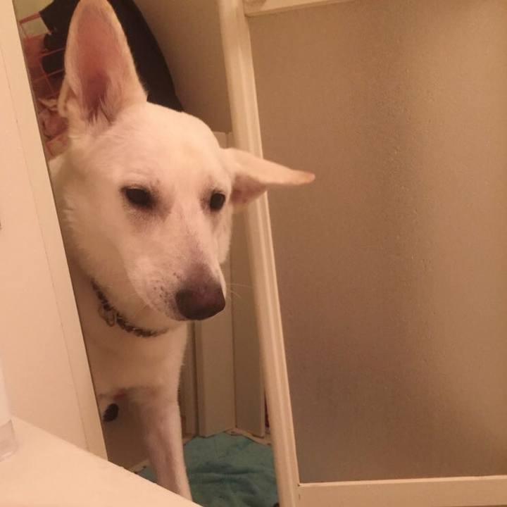 Aac49d23 4f24 46dc 8328 19cbc8088ce4