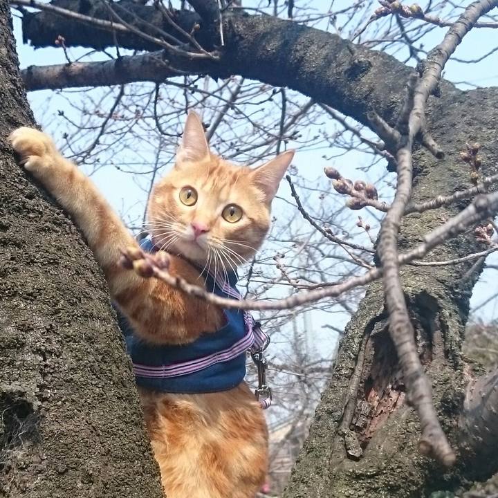 Aac4fb9d 84c5 44a7 a1cf 9827f3f9607f