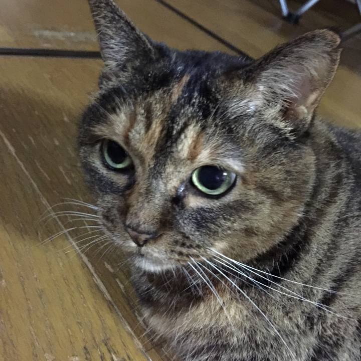 Aac54555 71ab 45ba 9974 c257dcb613fb