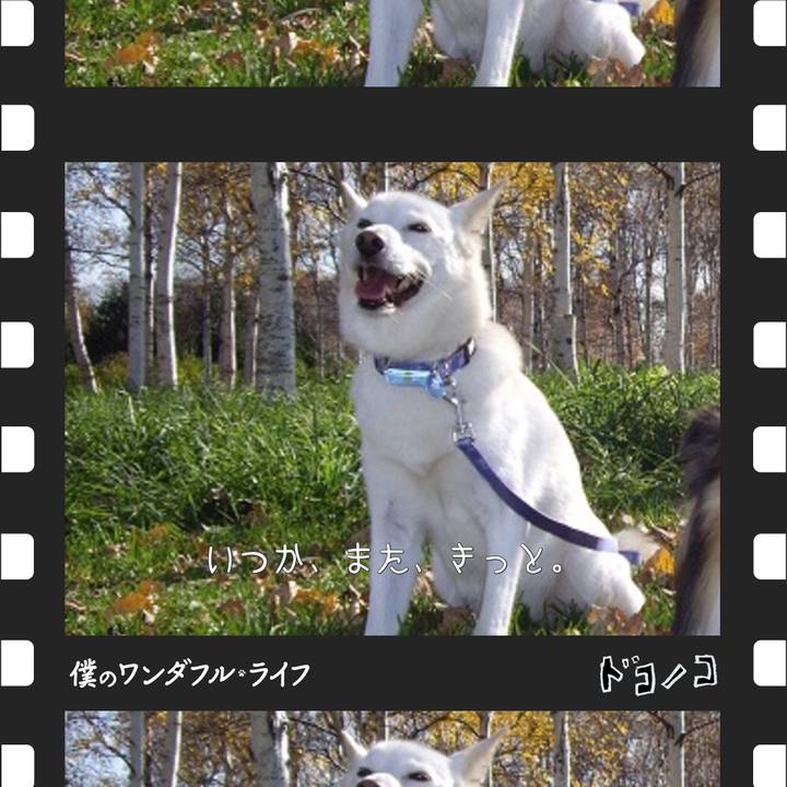 Aac57948 e27a 492f 8895 79c238c68084