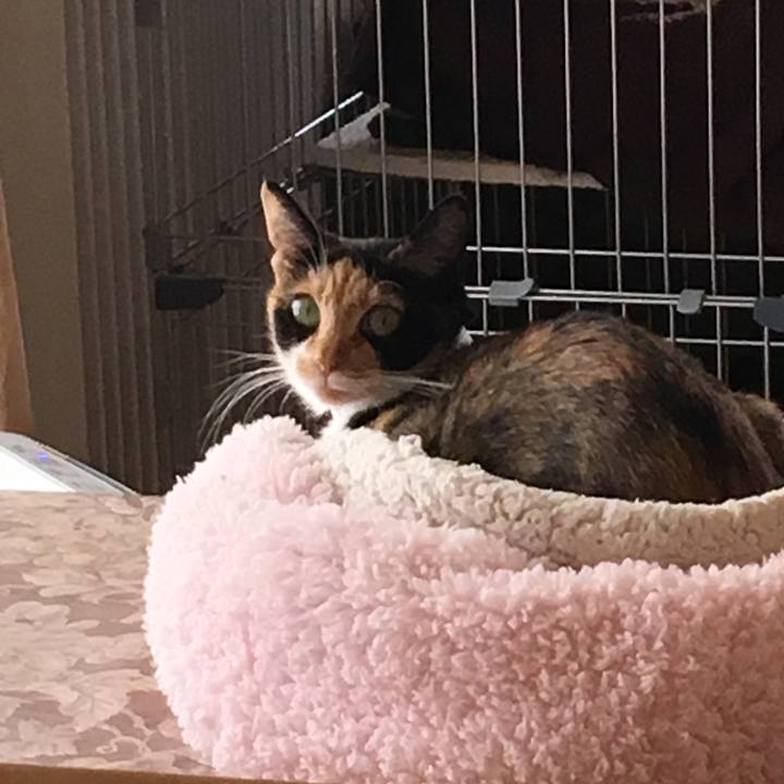 Aac58c38 7c17 4545 bd1a 64ac11a598ce