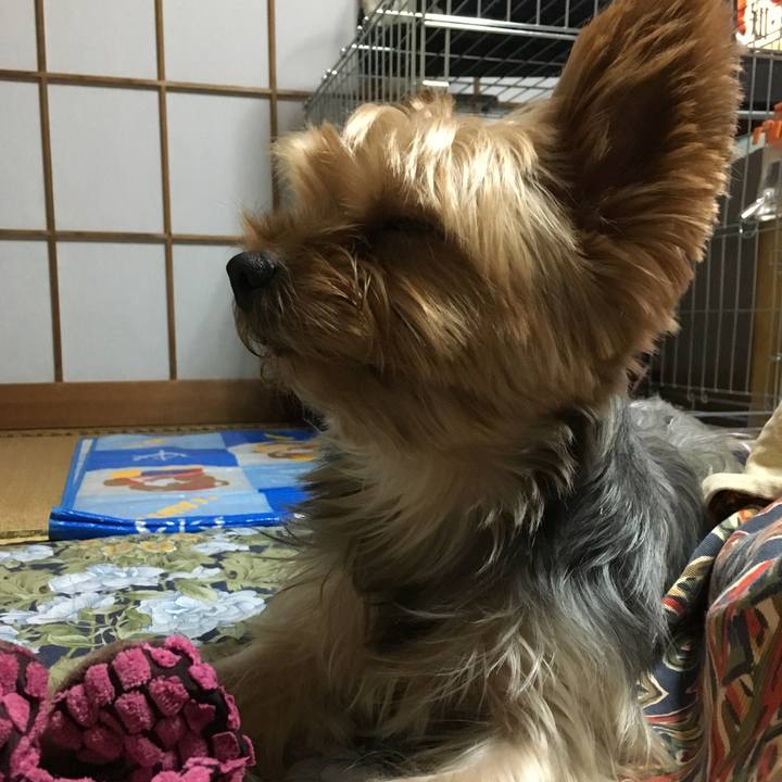 Aac609d4 a85c 450a 93bf 7e190dcb6998