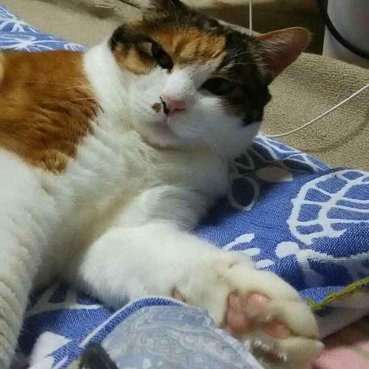 Aac67859 b9f8 4756 b756 40ad77ab19f7