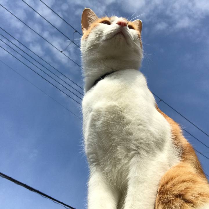 Aac71e5d 976b 41c3 b912 a47604c3af05