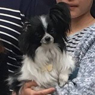 Aac78a39 ca9f 4671 9088 118ba55b18a1