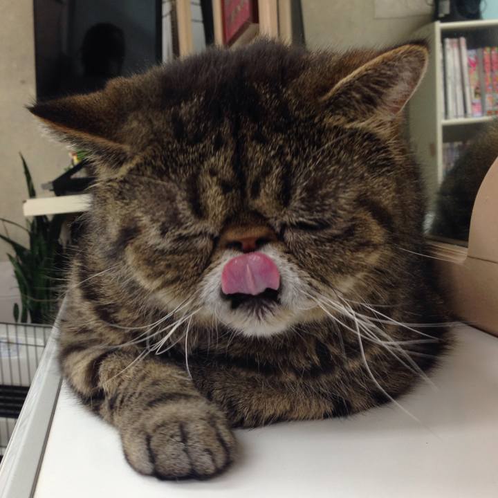 Aac7af70 9fe9 4f29 8ae7 2ae809e444d4