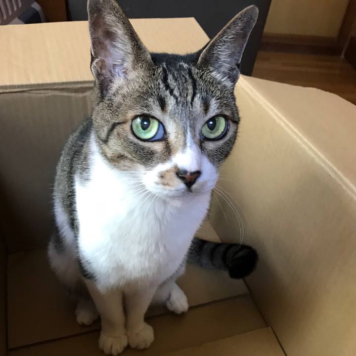 Aac8899f 05fe 40ff 9d18 3b14c4e5ffac