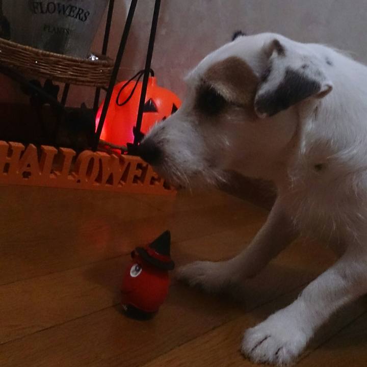 Aac8c5e4 7572 476b 9c0b 38f9b6a41c84