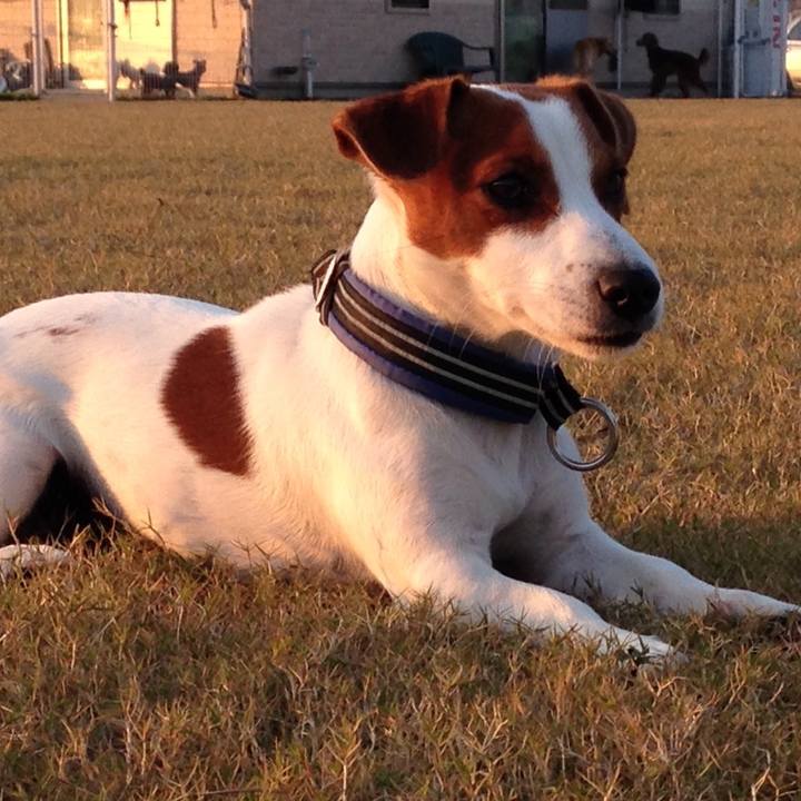 Aac9577d bede 4367 92ac 93e181872e73