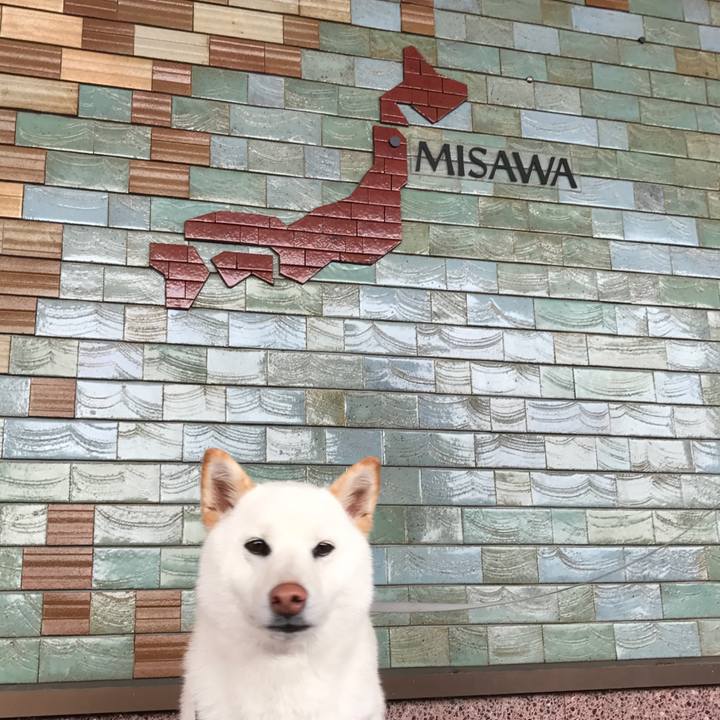 Aac9f402 64dd 4478 a400 a7f0dfe838b3