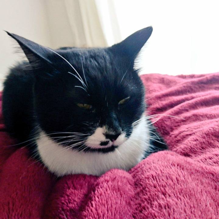 Aacad062 8cab 45b7 a7d1 2699b743e40d