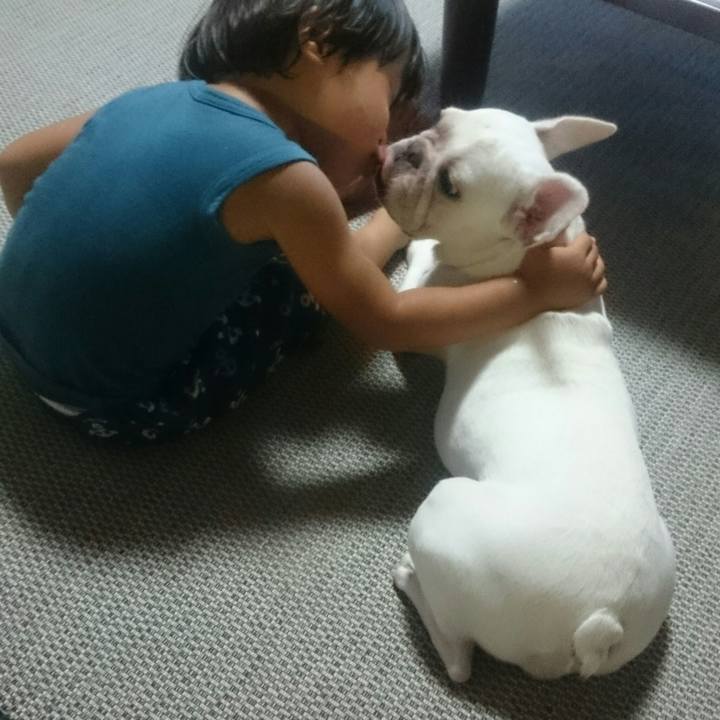 Aacba3a9 78f8 4fa2 88b8 f1bd25eec300