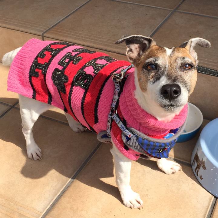 Aacba4b9 e36b 4841 8bf4 1b51597a51fe