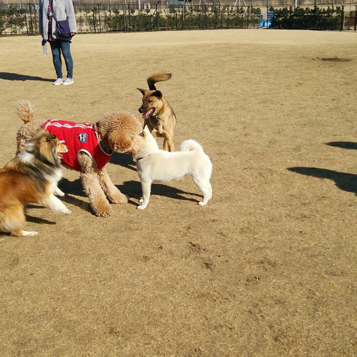 Aacba74c 3681 4b64 a138 cc00be27ee37