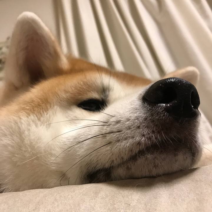 Aacc2b47 3bc0 44b1 b496 c7a22ae5b0f4