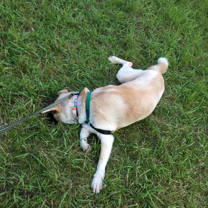 Aacc6c46 3b0f 42fa abb5 4d75f196db49