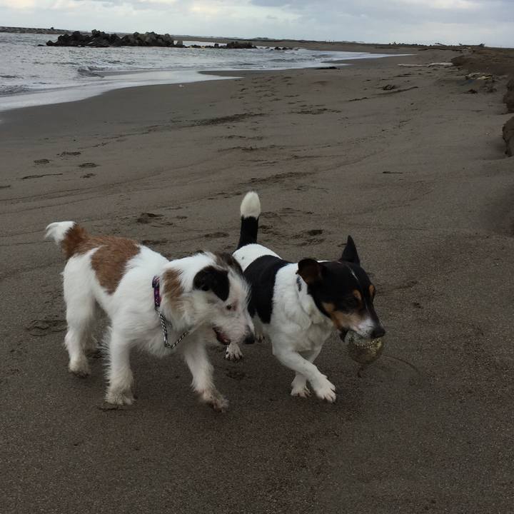 Aacd8eb6 a96b 401b bdde 9b9150044905