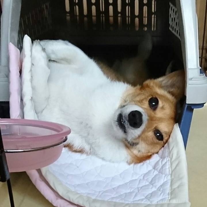 Aad0af0a a6a4 44b1 804a 1b8d824f1865