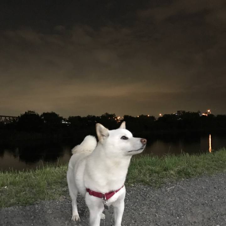 Aad0ba39 20c8 4ebf bfef 52c249481781