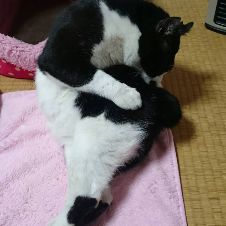 Aad0e02b 2298 423e 86af 735684653aed