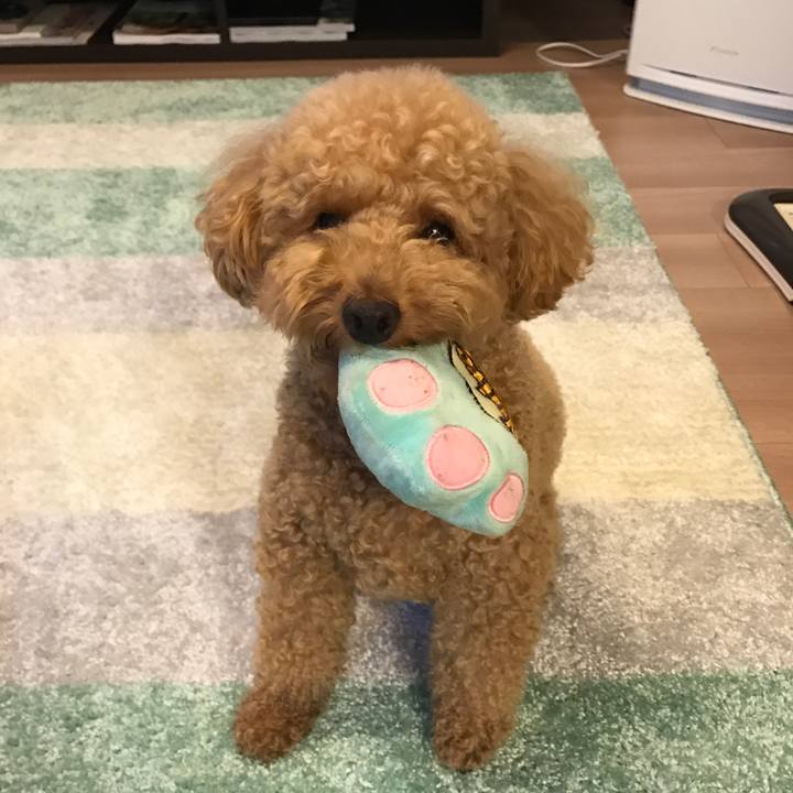 Aad15c3a 4f13 47f8 a8df 73d5ea6a3a3a