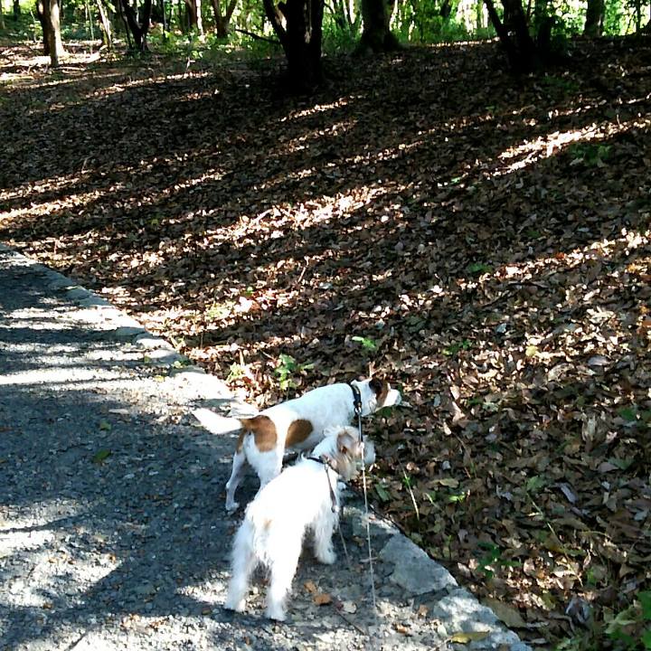 Aad1c8ac 4906 480a 9ba6 b1813e41a838