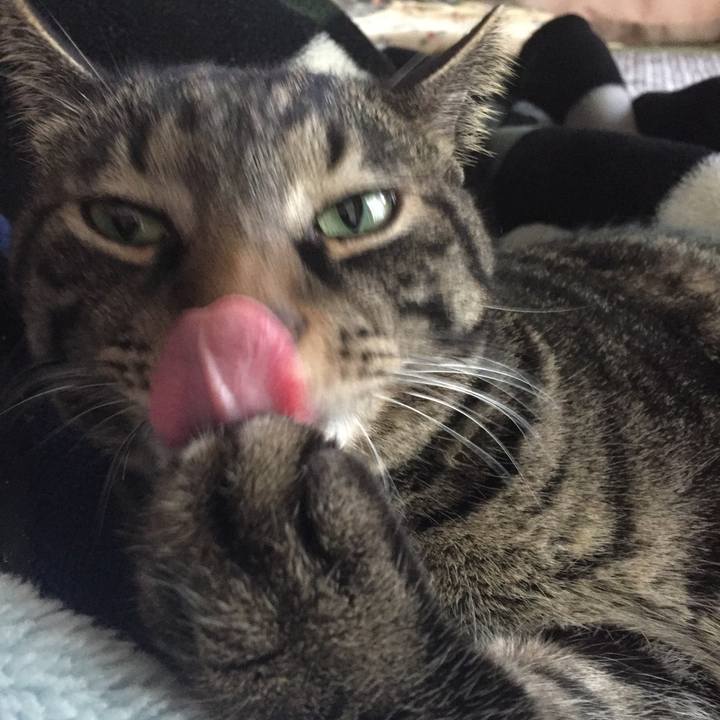 Aad20bc4 585f 40b2 81f6 199c0b035ddc