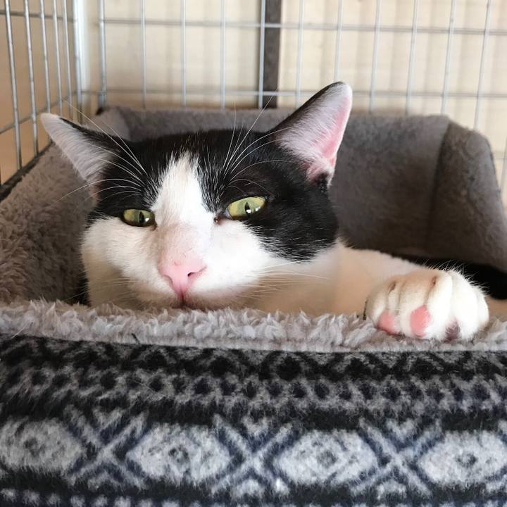 Aad29d29 6f29 4ef5 9164 59a52dcb3463