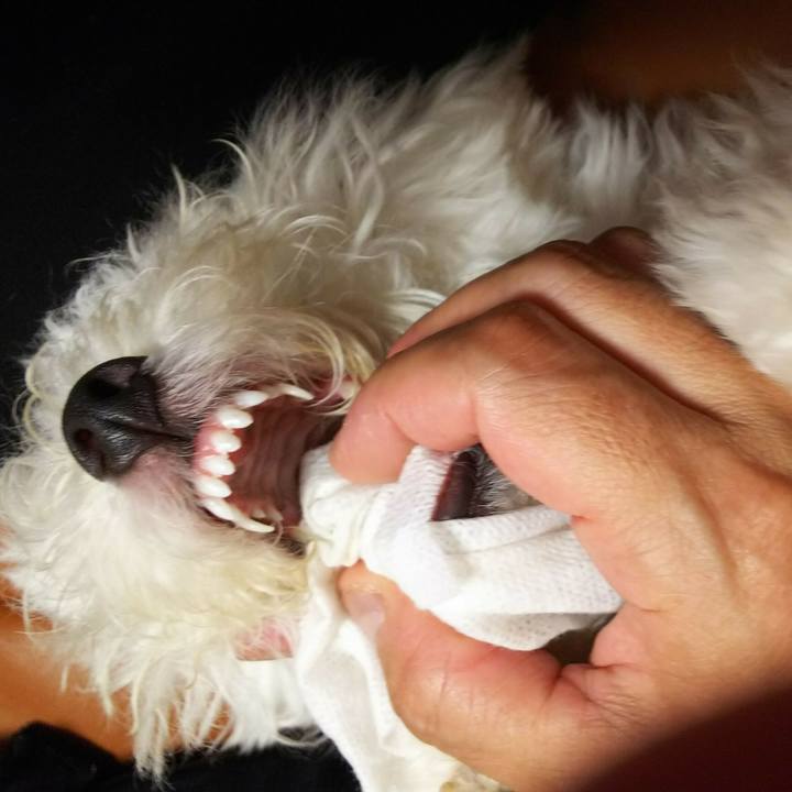 Aad32f37 fd2a 4f29 b8c0 88f05839f793