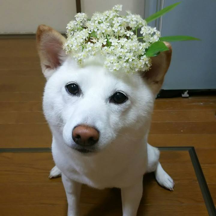 Aad41669 a398 4154 9f72 cfd1bf1382ee